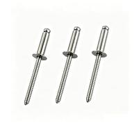 Rivetti a strappo Rivetto cieco a testa svasata in acciaio inossidabile 304, rivetti a strappo ciechi aperti da 2,4 mm 3 mm 100 pezzi(3x10mm)
