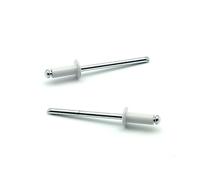 Rivetti a strappo STANDARD Alluminio/Acciaio Testa Tonda Verniciato Bianco RAL 9003 4,8x25 ISO15977 Spessore serrabile 18.0-21.0mm - Confezione da 250 pezzi