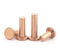 Rivetti a testa piatta in rame massiccio, chiodi in rame a cappuccio piatto, rivetti piatti a testa tonda martellati for applicazioni di fissaggio rivetti metallici(3 * 10 [100 pieces])