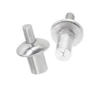 Rivetti ad espansione con comando a martello | Colpo for piercing alla testa del chiodo in lega di alluminio ad espansione a percussione(200pcs,11mm)