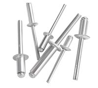 rivetti cavi in ottone Rivetti ciechi 100 pezzi Alluminio 3/16 pollici 4,8 mm 10-24,5 mm 3/8-1 pollici for metallo(100pcs-4.8 X 16 Mm)