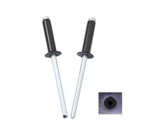 rivetti cavi in ottone Rivetti Ciechi Alluminio Testa Svasata Nero Tipo Standard 2.4-4.8x5-25mm 30/50pz(4.0x6 Mm,30Pcs)