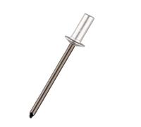 Rivetti ciechi 200/300/500 rivetti impermeabili in acciaio alluminio 3.0 3.2 4.0 4.8 6.4 mm (500 pezzi, 4 x 8 mm)