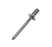 Rivetti ciechi, 30/50 pezzi, sigillati, impermeabili, a testa svasata, in acciaio inox, rivetti ciechi (30 pezzi, 3,2 x 10 mm)