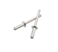 Rivetti ciechi, 30/50 rivetti ciechi in acciaio inox, multi-presa, grande area di cuscinetto laterale cieco (50 pezzi, 3,2 x 10 mm)