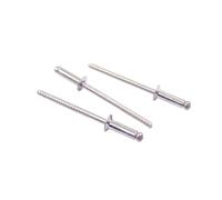 Rivetti ciechi a estremità aperta SS304 da 20/30 pezzi con mandrino break pull e rivetto anticorrosivo a testa svasata H(3x10mm 20pcs)
