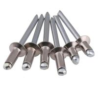 Rivetti ciechi a flangia larga, Rivetti ciechi in acciaio inossidabile 304 testa svasata M3-M5 6-20mm 150 pezzi(M5 (20pcs),13mm)