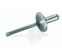 Rivetti Ciechi D 5,0 x 8 - 30mm, Testa Grande 14mm, Acciaio/Alluminio, Cieco
