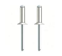 Rivetti ciechi in alluminio a testa svasata da 100 pezzi, mandrino in acciaio per rivetti pop con estremità aperta da 2,4 mm 3 mm per metallo fai da te automatico(3x8mm)