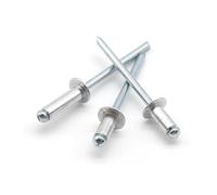 Rivetti ciechi in alluminio M2 M2.4 M2.8 M3 M3.2 M4 M5 M6 M6.4 Rivetti pop a testa bombata for rivetti di scarico con mandrino in lamiera di alluminio(M6.0-20pcs,18mm)