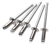 Rivetti ciechi in alluminio, Rivetti ciechi in alluminio e acciaio inossidabile M5 100 pezzi tipo piegato 6-30 mm(8mm)