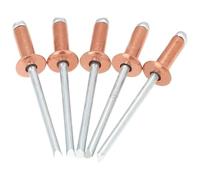 Rivetti ciechi in alluminio, Rivetti Ciechi in Rame Testa Tonda Tipo Aperto 30/50 pz (2.4-4.8) x(4-25) mm(50pcs,4.0x6 mm)