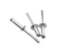 Rivetti ciechi in lega di alluminio | Dimensioni M2.4-M6 Scenario di utilizzo di vari pezzi: fissaggio in metallo e fai da te(8mm,M2.4 20pcs)