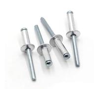 Rivetti ciechi, Rivetti pop ciechi MushroomHead BreakMandrel 400 pezzi M2.4-M6 Mobili in alluminio for auto aerei(10mm)