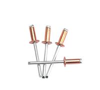 Rivetti ciechi, Rivetti pop standard ciechi aperti in acciaio ramato da 10 pezzi M2.4 M3.2 M4 .8 Rivetto decorativo(13mm,M4)