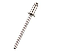 Rivetti ciechi svasati in acciaio inossidabile 30/50 pezzi anticorrosione(50Pcs,4.8x25mm)