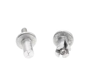 Rivetti con martello in lega di alluminio | 5x7/9/11mm 10-300 pezzi: porte e finestre for mobili for ristrutturazione domestica(11mm,30PCS)