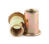 Rivetti Filettati Acciaio al Carbonio M10 20 Pezzi Per Fissaggio Meccanico Edile