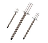 Rivetti impermeabili in alluminio e acciaio da 200/300/500 pezzi, kit di assortimento di rivetti pop da 3,0-6,4 mm(300Pcs,4.8x25mm)