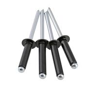 Rivetti in alluminio a testa bombata aperta Rivetto cieco Nero M3.2 lingli(10Pcs,M3.2x10)