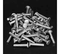 Rivetti in Alluminio Massiccio 100 Pezzi Testa Piatta M4*20 - Rivetti per Fissaggio Meccanico Senza GB867