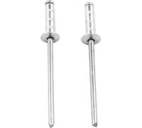 Rivetti In Alluminio Professionali 1/8in Argento 250Pk Multi-Grip