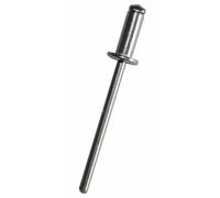 Rivetti in confezione DRESSELHAUS 2951/000/99 4x10