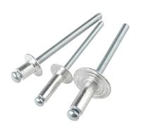 Rivetti per metallo, Rivetti ciechi con mandrino a rottura in alluminio M6 6mm x 10 12 16 20mm Ribattino for chiodi