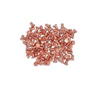 Power Tec Rivetti 92619 3 x 4,5 mm 100 pezzi