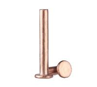 Rivetti solidi, Confezione da 20 chiodi con rivetti a testa piatta in rame di varie dimensioni(M3x16 mm)