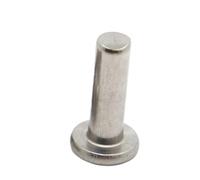 Rivetti solidi, Rivetti autobloccanti a testa tonda piatta in acciaio inossidabile 304 M2-M6 3-40 mm, confezione da 145 pezzi(35mm,M2.5)