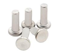 Rivetti solidi, Rivetto autoinserinte a testa tonda piatta in acciaio inossidabile M2-M6 304 GB109, confezione da 145 pezzi(25mm,M2.5 50pcs)