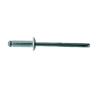 Rivetto a Strappo Friulsider in Alluminio 3,0 x 12 10 Confezione 100 Pezzi