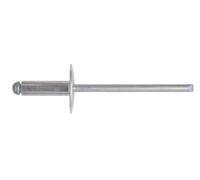 Rivetto a Strappo in Alluminio a Testa Larga 50 Pezzi. Mm 4 8 x 12 10.00