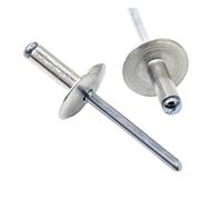 Rivetto cieco in lega di alluminio a testa grande a piatta Testa tonda Nucleo a tirare Chiodo M3.2 M4 .8 M5 M6.4 Da 10 a 100 pezzi(6mm,M4 (30Pcs))