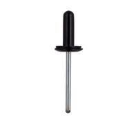 Connect Rivetto In Metallo Con Finitura - Per Ford 50 Pezzi 36205