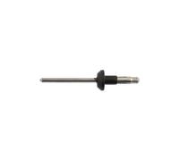 Rivetto Con Finitura In Metallo - Per Volvo 50 Pezzi 36209