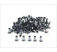 Rivetto, guarnizione del freno a tamburo FERODO per SETRA Series 200 15.95 1973-