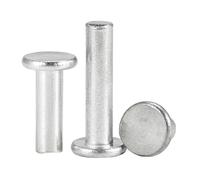 Rivetto pieno M2 .5 M3 M4 M5 M6 M8 Rivetto solido in alluminio Testa piatta Punzone a percussione manuale Rivetti fissi autocolleganti(M5-20Pcs,10mm)