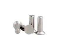 Rivetto solido a testa piatta, Rivetti a testa svasata in alluminio massiccio GB869 M2 a M8 4-60mm Confezione da 335 pezzi(10mm,50pcs M4)