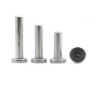 Rivetto solido in alluminio, Rivetti solidi in alluminio a testa piatta Knock di varie dimensioni GB109 Confezione da 205(35mm,M8 5pcs)
