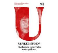 Rivoluzione e guerriglia metropolitana