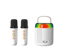 RIYAN Mini karaoke audio con 2 microfoni per bambini adulti, giocattolo altoparlante Bluetooth portatile per ragazze e ragazzi