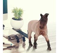 RIZGHWOY Area Fissa Premium Modello di Simulazione Animale di Plastica Modello Educativo per gli Amanti degli Animali (Tennessee White Horse)