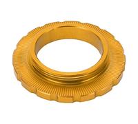 RIZGHWOY di Bloccaggio Centerlock per Disco, Rotore, Albero, Bici, Mountain Bike, con Adattatore per Disco a 6 Bulloni, ASSE da 9/12/15/20 Mm, Lega di Alluminio Lavorata a CNC, (Gold)