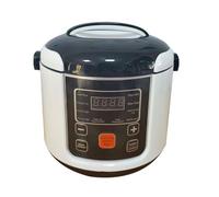 RIZGHWOY Pentola di Riso Portatile Mini Pentola di Riso Cottura di Riso per Campeggio per con Cuscinetto per Manutenzione della Fodera di Riso Pasta di Farina di Farina di Farina per 2-4 (12V)