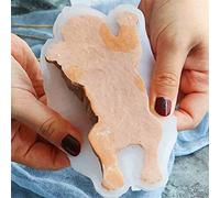 RIZGHWOY Stampo per Cani Shar Pei in Silicone 3D per Uso Alimentare, Stampo per Mousse Antiaderente per Decorazione Torta Fai-da-te con Resistenza a Temperature Estreme per Cottura Al (WHITE)