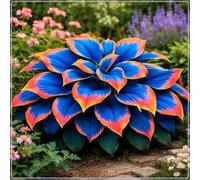 Rizoma hosta,resistenti,Perenne-Giardini e Balconi,Decorazione,Bulbi di hosta, giardini -4 Bulbi-J
