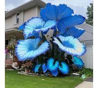 Rizomi dell'orecchio dell'elefante, rizomi del giardino, rizomi ornamentali perfetti, rizomi di alta qualità, rizomi taro resistente, 10cipolla-B