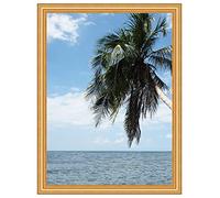 RK Cadres Cornice su Misura 32x40 o 40 x 32 Cornice portafoto Fancy Gold Classic, 4.2 Centimetri di Larghezza